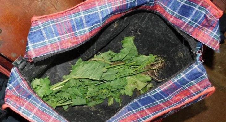 Житель Браславского района расплачивался за наркотики самогоном