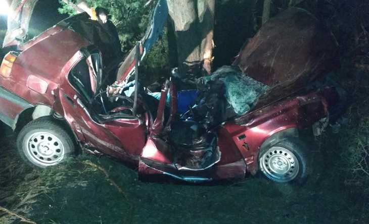 В Мозырском районе пьяный бесправник врезался в дерево и погиб