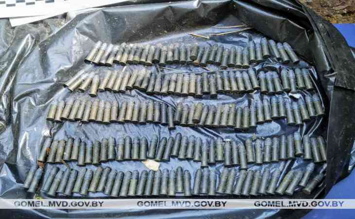 Под Житковичами милиционер выгуливал собаку и нашел сумку с патронами