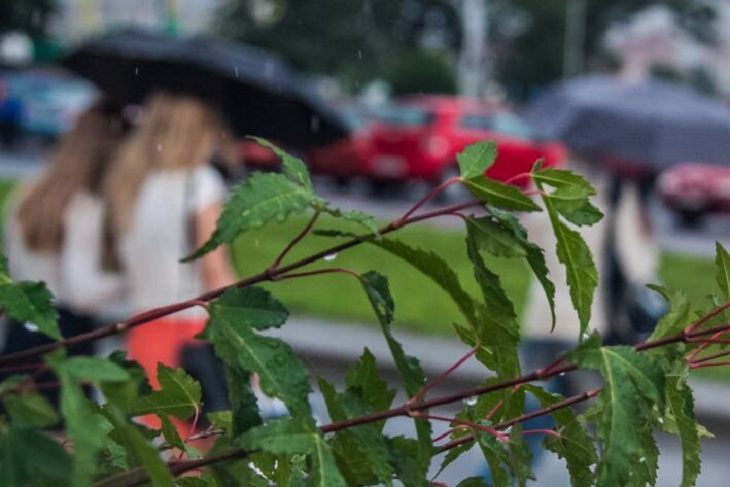 Погода в Беларуси днем 23 июля: желтый уровень опасности Погода в Беларуси днем 23 июля: желтый уровень опасности