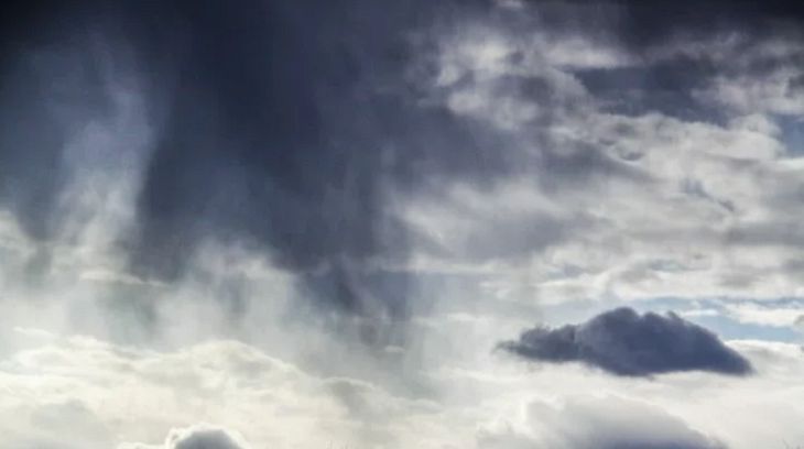 В Могилевской области сильный ветер срывал крыши