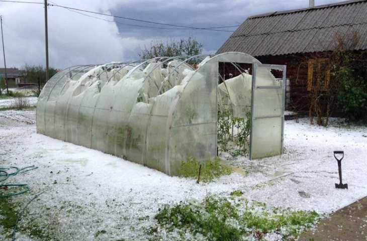 Расчищали лопатами для снега. Град размером с куриное яйцо уничтожил урожай жителей Будслава