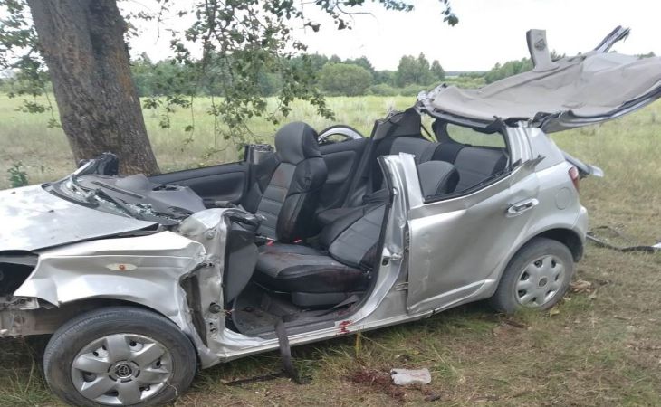 ДТП под Слонимом: 16-летний подросток вёз друзей на отцовской «Тойоте» на речку и влетел в дерево