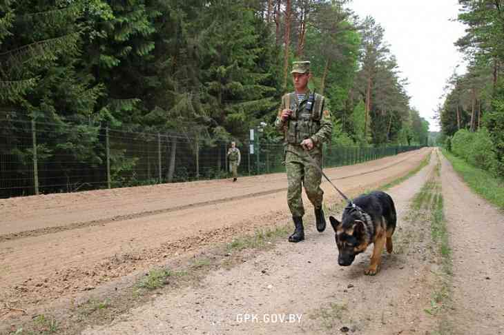 Иностранец, захватив рюкзак с деньгами, пробирался в Литву через Беларусь 