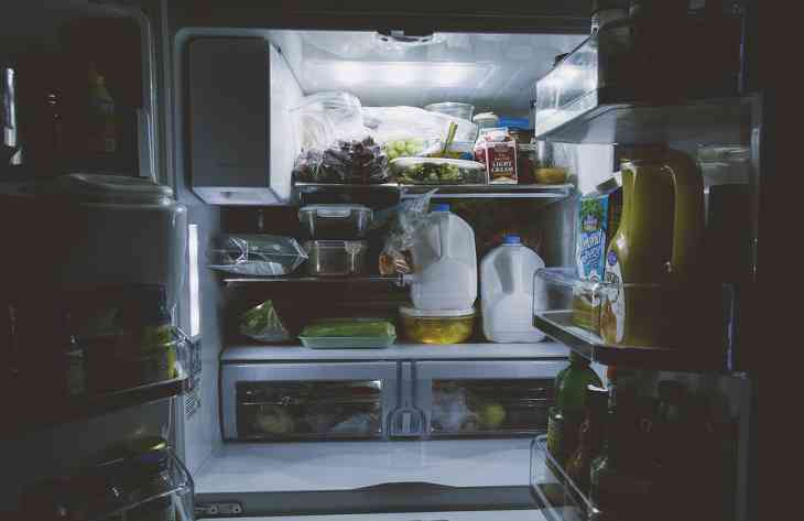 Плесень в холодильнике: что делать и как избавиться