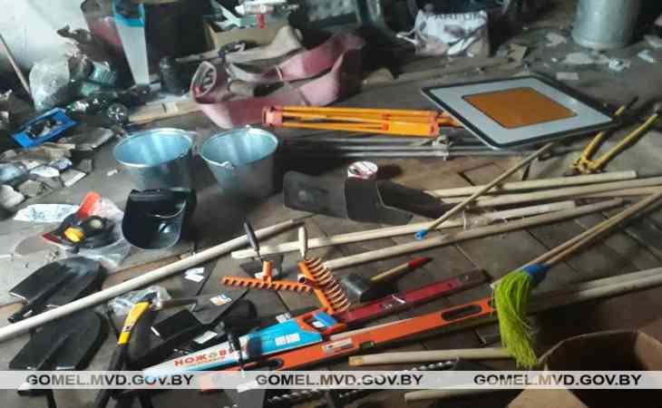 В Мозыре мужчина заявил о краже, но сам стал подозреваемым