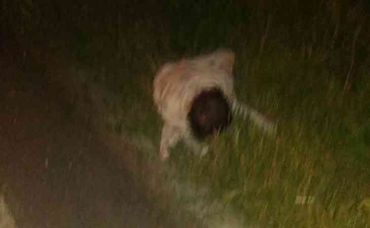 «Решили развестись»: Родители бросили годовалую девочку на обочине и уехали