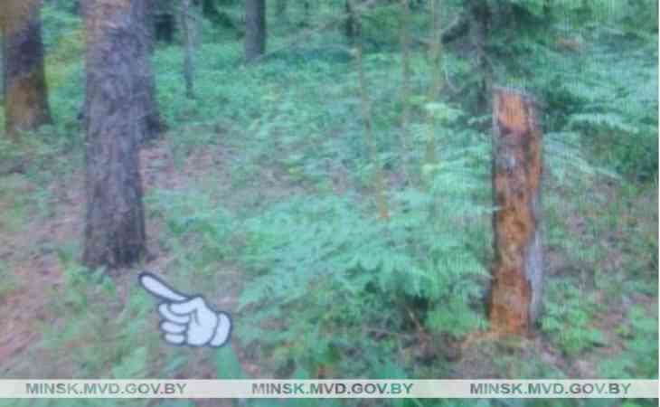 Вечеринка не удалась: В Минске два друга забрали «закладку» с гашишем и сразу были задержаны Вечеринка не удалась: В Минске два друга забрали «закладку» с гашишем и сразу были задержаны