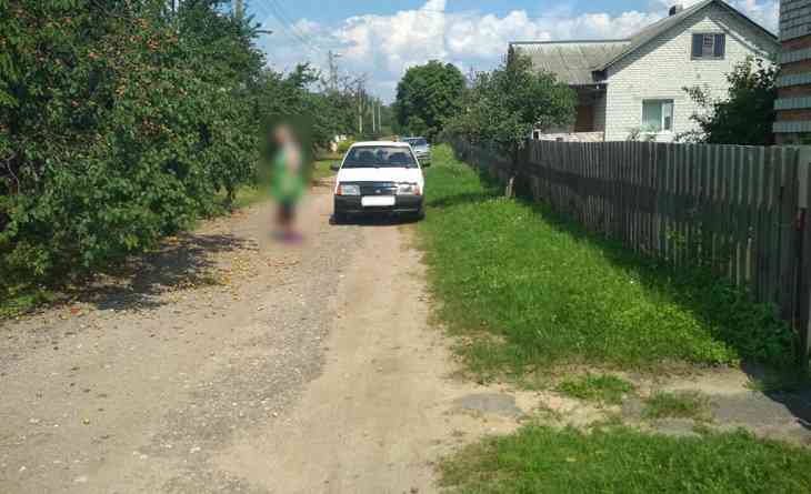 В Светлогорском районе пьяный водитель сбил женщину, собиравшую у забора абрикосы