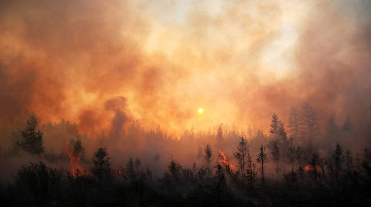 Путин направил военных тушить пожары в Сибири