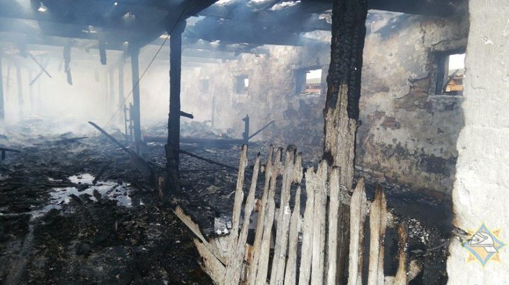 В Столинском районе горела ферма: десятки погибших