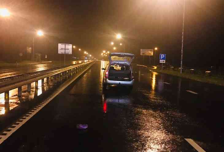 Под Слуцком задавили пьяную даму