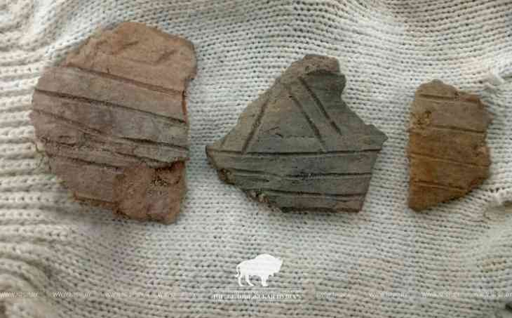 Привет из каменного века. В Беловежской пуще нашли сотни артефактов 