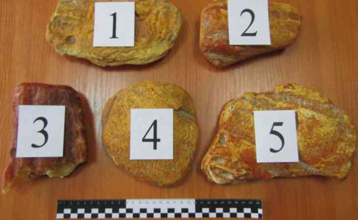 Россиянин пытался пересечь белорусско-литовскую границу с 2 кг янтаря в карманах