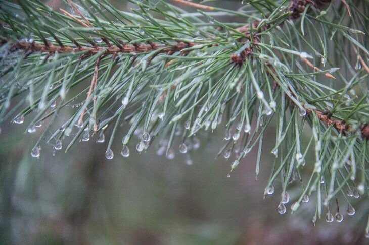 Погода на пятницу 2 августа: улучшений ждать не стоит