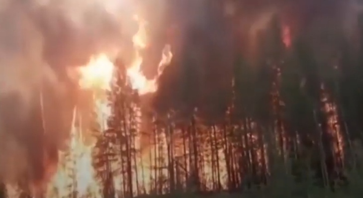 Жуткое видео: российские пожарные едут через горящий сибирский лес