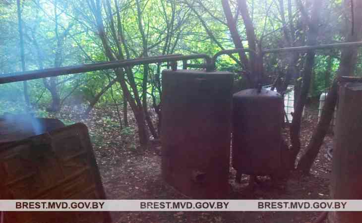 В Беловежской пуще ликвидировали мини-завод по производству самогона