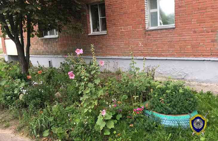 Падение ребенка из окна в Витебске: жизнь мальчику спасли покрышки на клумбе Падение ребенка из окна в Витебске: жизнь мальчику спасли покрышки на клумбе