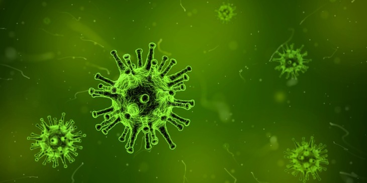 Ученые: Европе угрожает эпидемия из-за микробов-мутантов