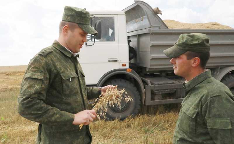 В Могилевской области на уборку зерна вывели... военных