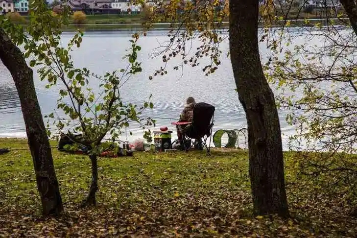 Погода на 4 августа 2019 года: что ожидает белорусов Погода на 4 августа 2019 года: что ожидает белорусов