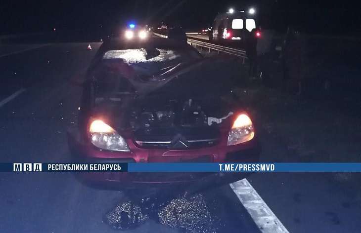 Смертельное ДТП на трассе М1: возбуждено уголовное дело Смертельное ДТП на трассе М1: возбуждено уголовное дело