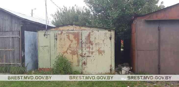 В Пинске гаражный вор утащил бензогенератор с бензопилами