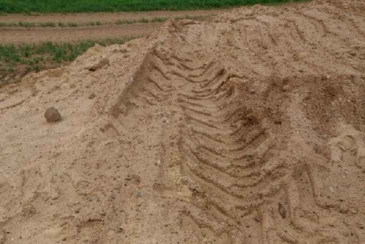 В колледже нашли захоронение сотни людей