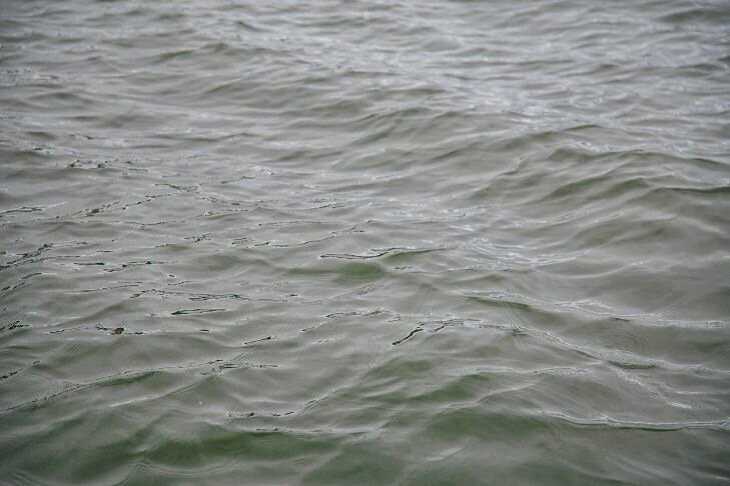 В заливе Днепра в Могилеве утонула молодая бобруйчанка