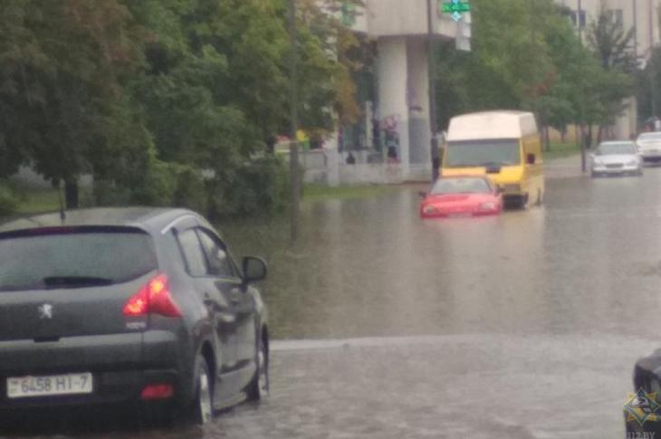 В Витебске ветер повалил 21 дерево, пострадали 4 машины