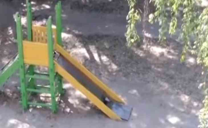 Забавное видео: в Гомеле вороны облюбовали детскую горку: одна наблюдает, другая катается