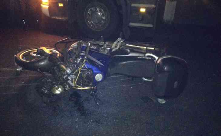 В Быховском районе мотоцикл сбил лося
