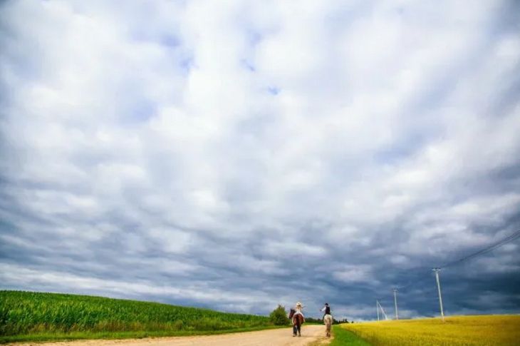 Погода на день 12 августа 2019 года в Беларуси Погода на день 12 августа 2019 года в Беларуси