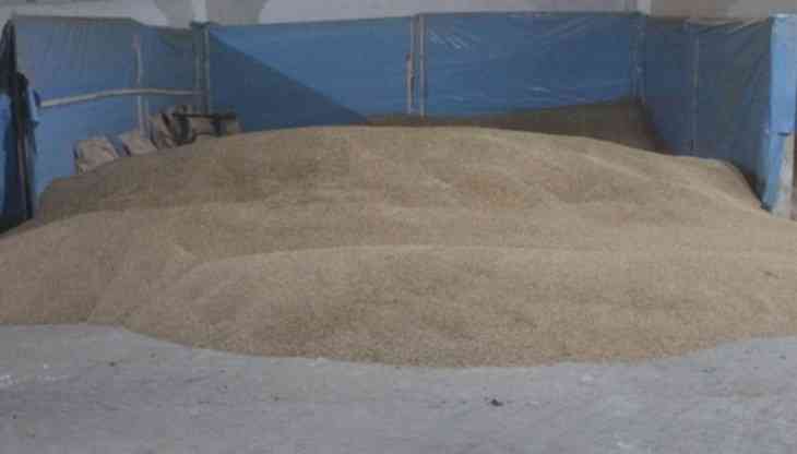 Под Лидой бригадиршу заподозрили в краже свыше 1,3 т тритикале