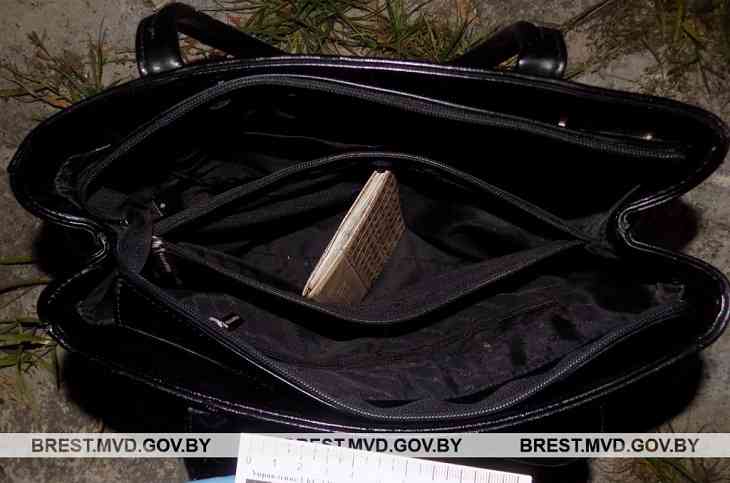 В Пинске в полночь напали на даму