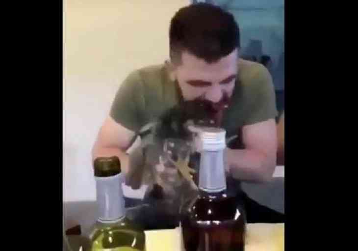 Отметил победу. Во время застолья мужчина откусил голову живому петуху (18+)