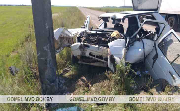 В Светлогорском районе водитель-бесправник влетел в столб