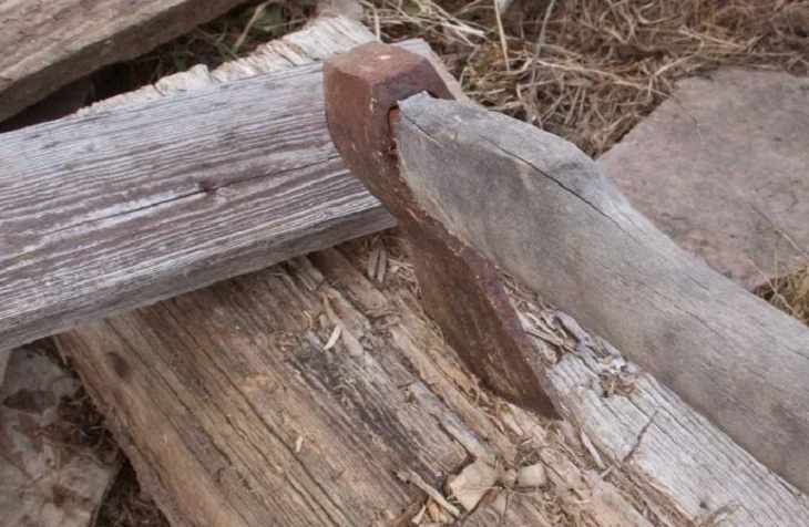 В Любанском районе нашли древний артефакт В Любанском районе нашли древний артефакт