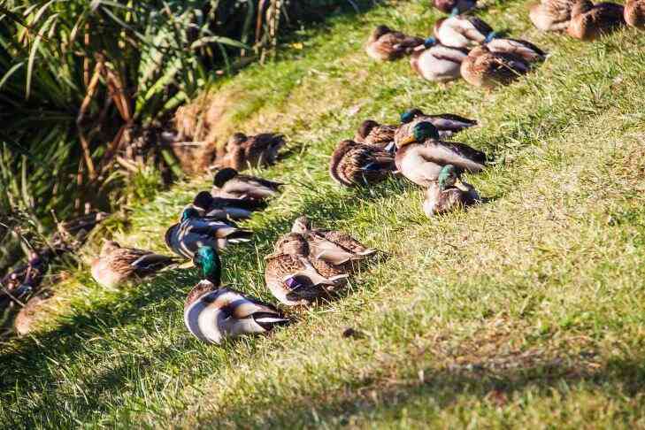 Погода на 15 августа 2019 года: таким будет четверг Погода на 15 августа 2019 года: таким будет четверг