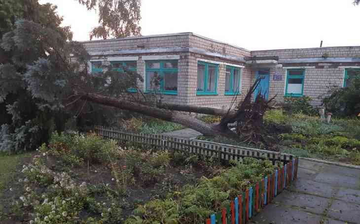 Последствия разгула стихии на Гомельщине: последние данные МЧС 