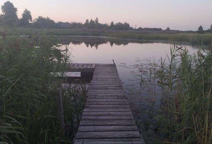 В Поставском районе утонул двухлетний мальчик