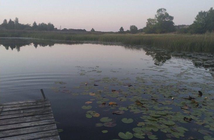 Гибель двухлетнего мальчика под Поставами: Следственный комитет начал проверку