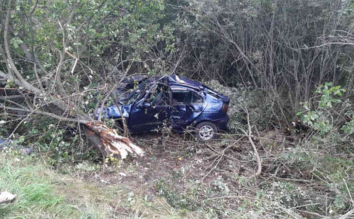 Енотовидная собака стала причиной ДТП на трассе Р31: водитель – в травматологии, пассажирка – в реанимации Енотовидная собака стала причиной ДТП на трассе Р31: водитель – в травматологии, пассажирка – в реанимации