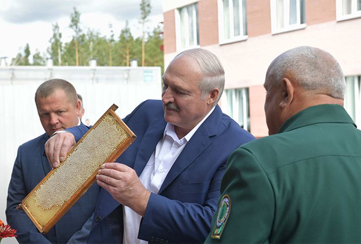Лукашенко рассказал, сколько ложек меда съедает каждый день