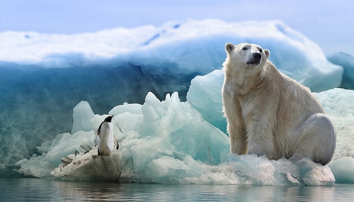 Пластик нашли в нетронутых льдах Арктики