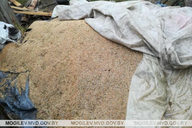 Механизатор в Белыничском районе ковшом украл почти 2 тонны зерна