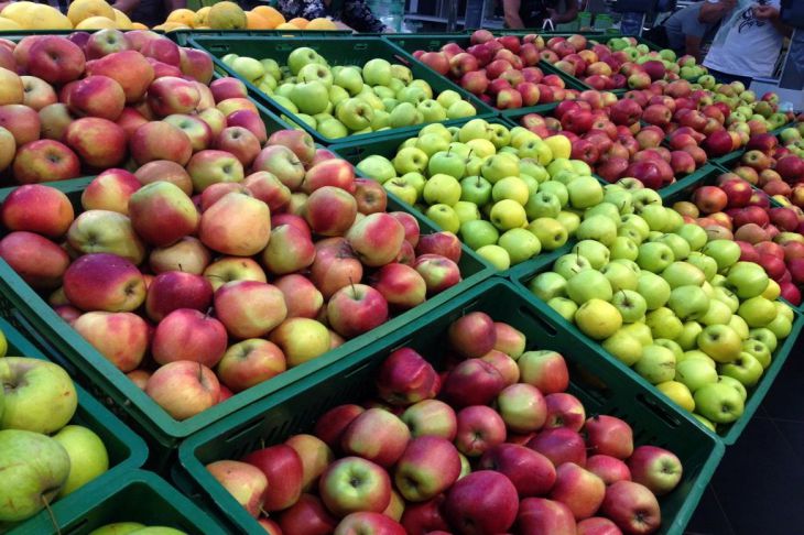 Как быстро избавиться от мошек в квартире: народные рецепты Как быстро избавиться от мошек в квартире: народные рецепты