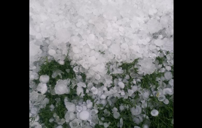 В Гродненской области выпал огромный град В Гродненской области выпал огромный град