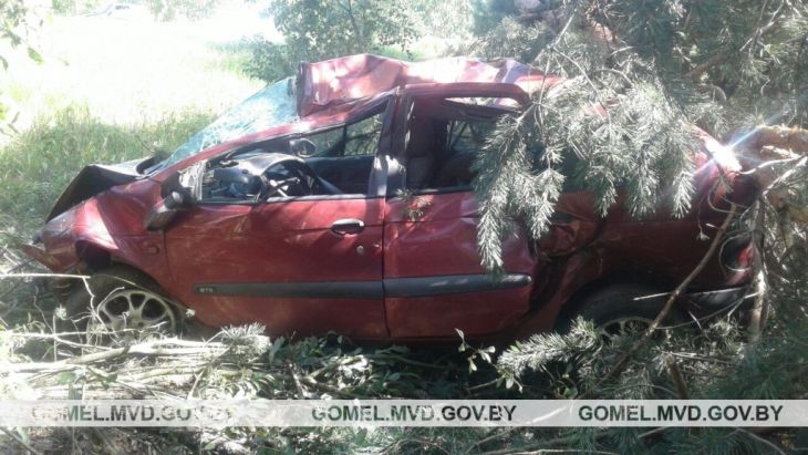 Под Калинковичами «Рено» влетел в дерево – водитель погиб