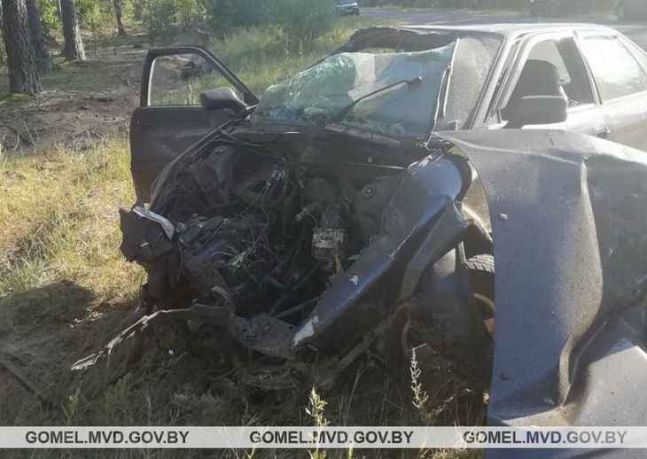 В Петриковском районе Audi влетела в дерево: пострадали два человека